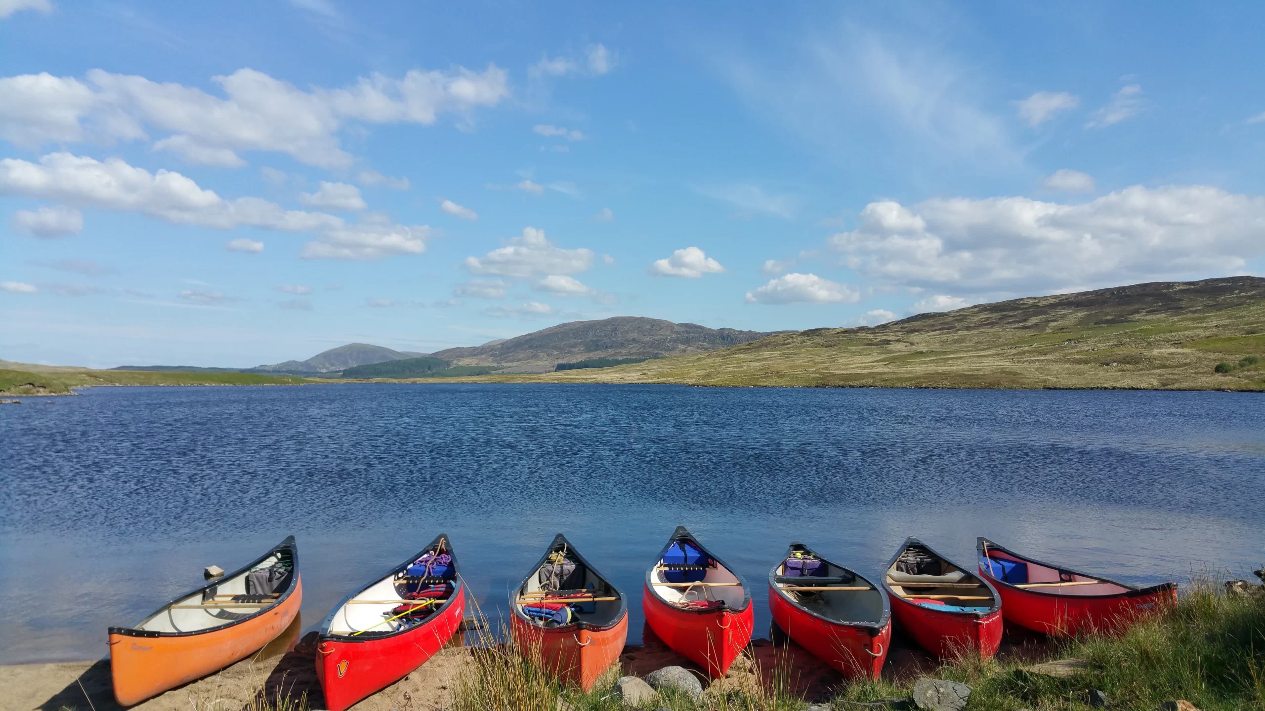 4e9d8b 1ac8bc1e45824cfea9e71a2057cb7d66 mv2 scaled